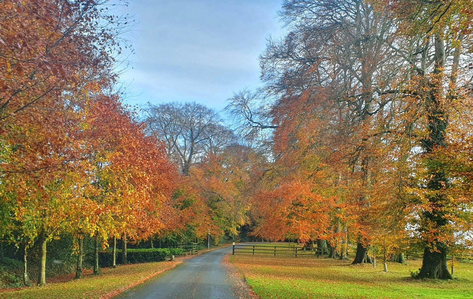 pexels dick donaghue 587532 34778277